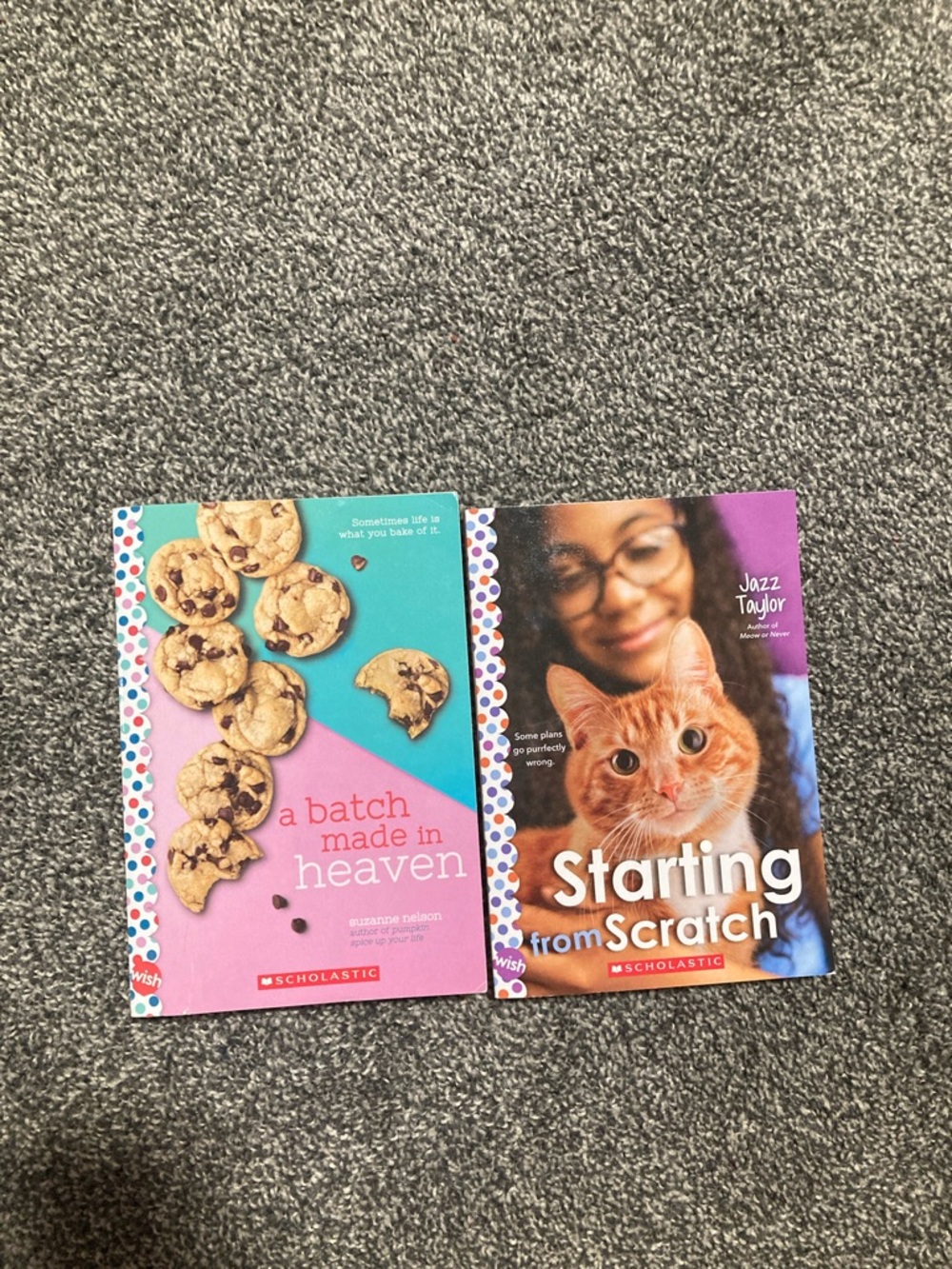Scholastic Pink & Teal Cookie Cover with Purple Cat Portrait
